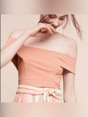 Deletta Off-Shoulder Cropped Top Pink Blush Zip Back M Anthropologie Balletcore
